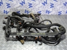 Электропроводка двигателя (коса моторная) Mercedes W220 S-class 9480